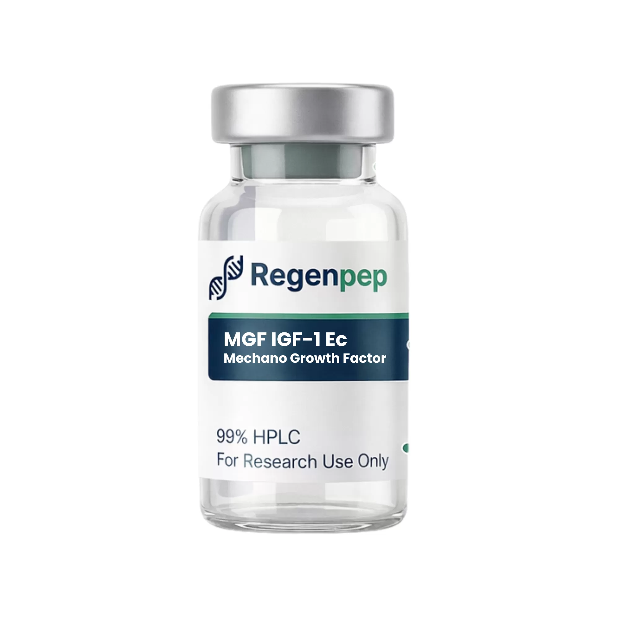 MGF (Mechano Growth Factor)